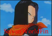android17.jpg