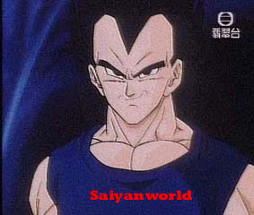 svegeta.jpg